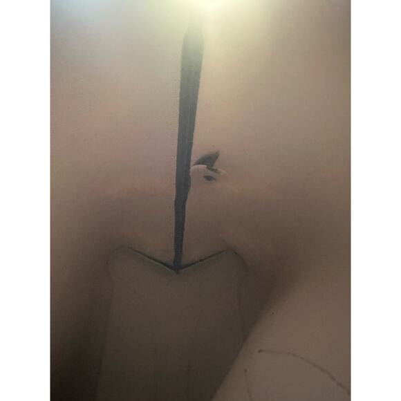 Kate Spade All Day Dancing Zebras Large Tote EUC Women's & Detachable Wristlet - Picture 4 of 16